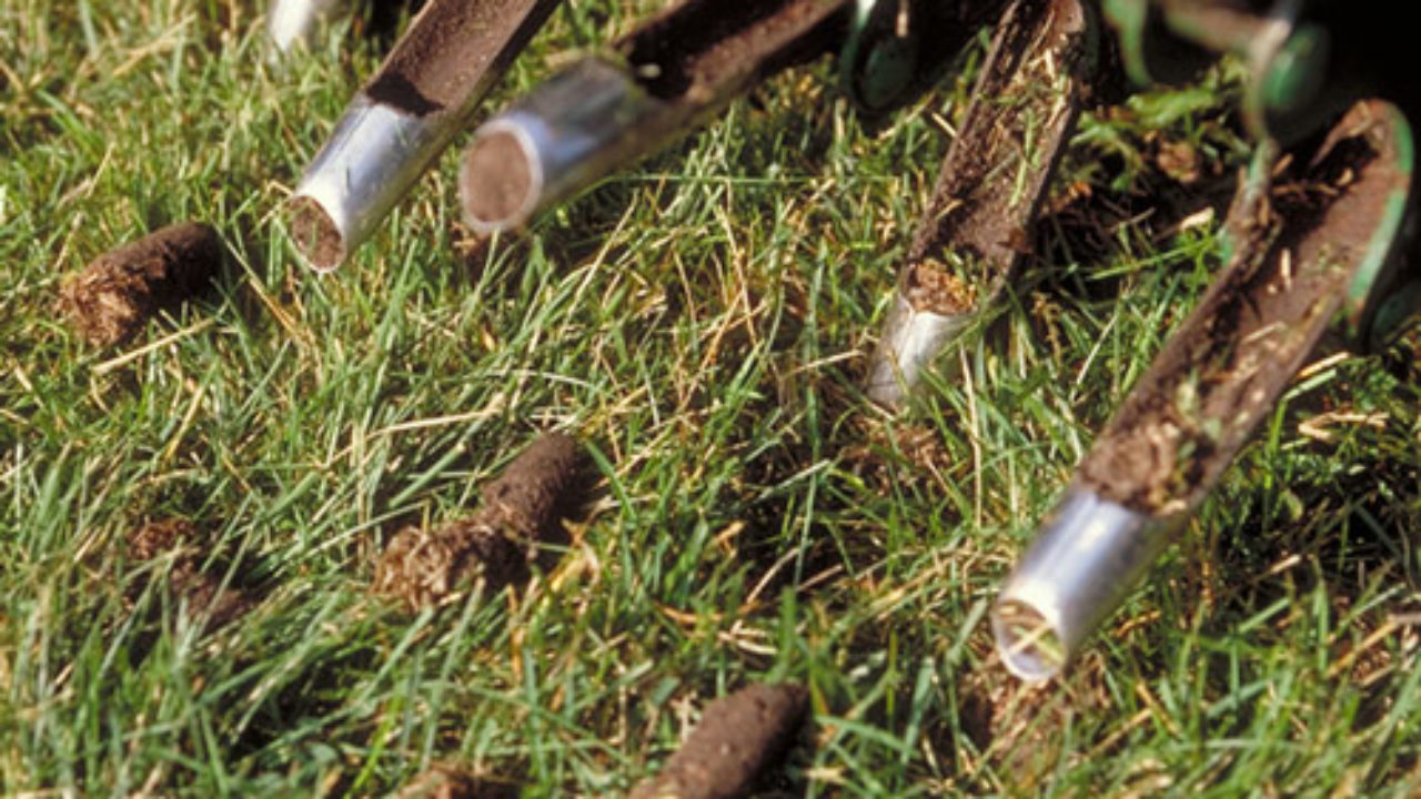 The Benefits Of Lawn Aeration