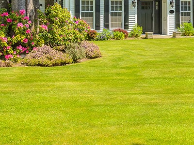 Customized Lawn Treatment Winston-Salem