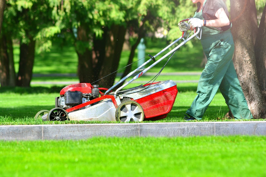 Professional Lawn Service