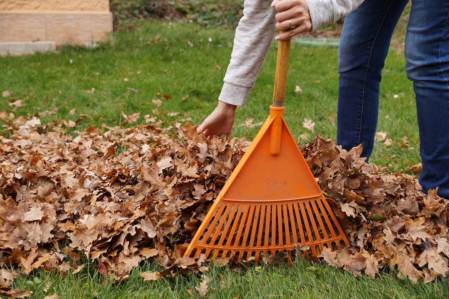 Fall Lawn Care