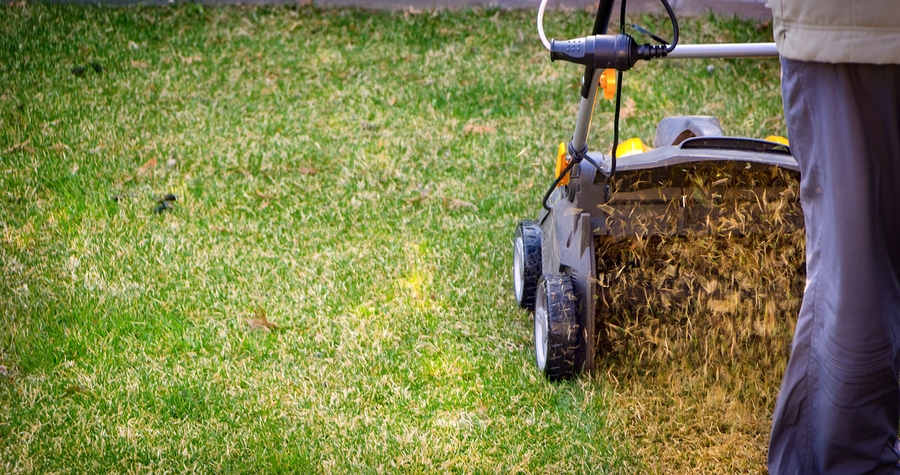 Aeration and Overseeding