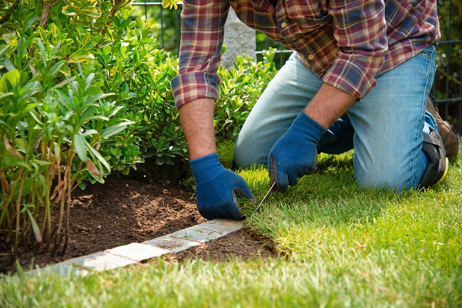 Lawn Renovation and Repair