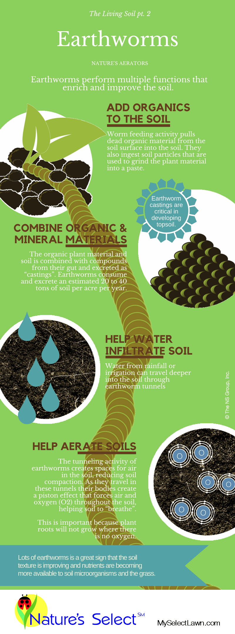 Earthworms The Living Soil Infographic