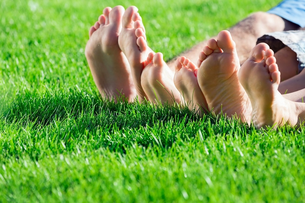 Lawn Tips