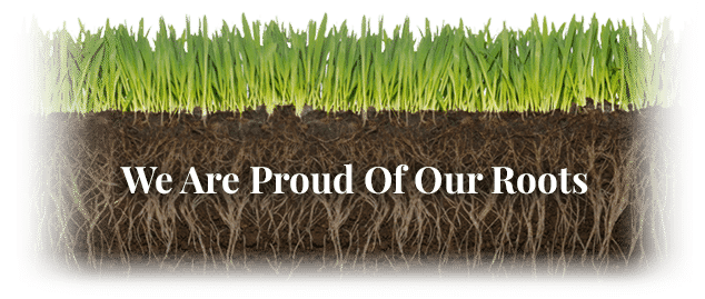 We Are Proud of Our Roots