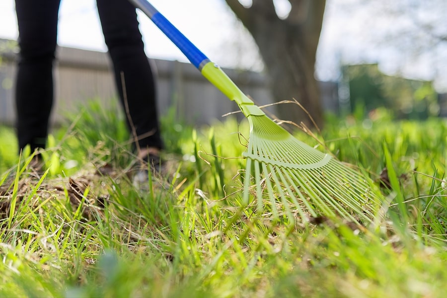 Spring Yard Cleaning