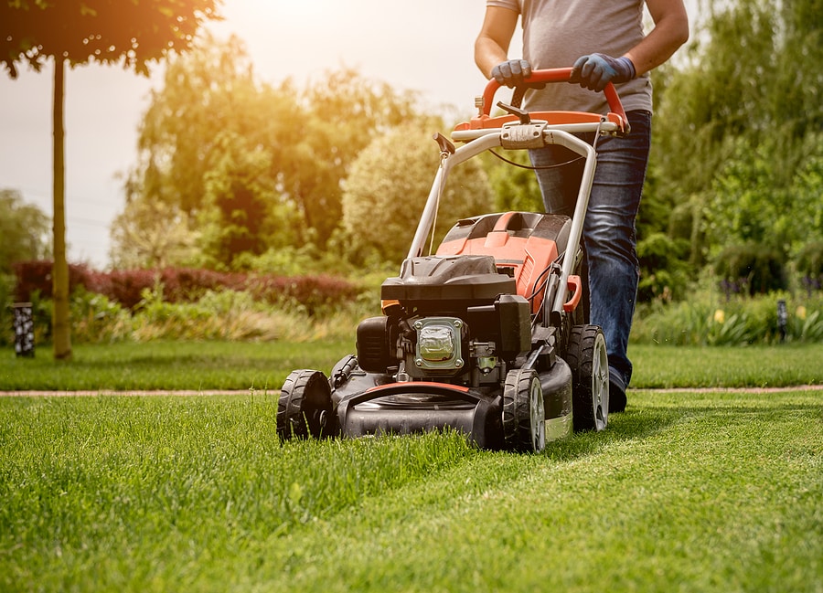 Caring for Your Lawn During Extreme Heat