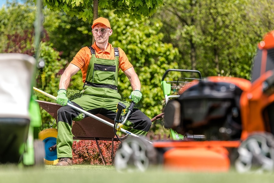 When to Fire Your Lawn Care Company