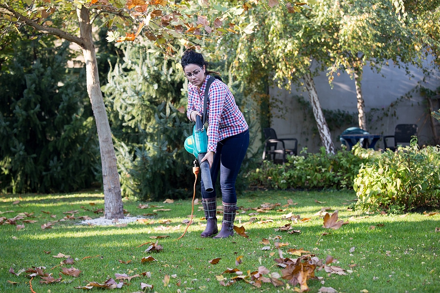 How to Care For Your Lawn after Aeration