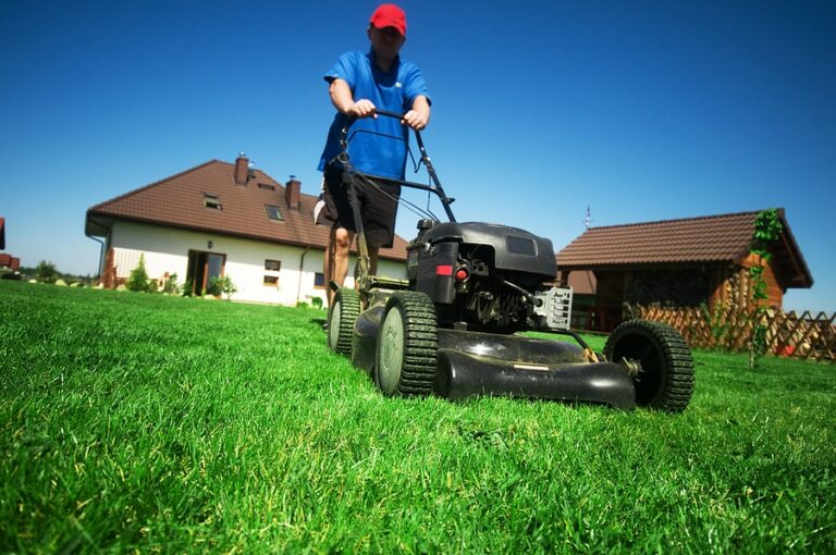 Your Spring Lawn Care Checklist Nature's Select Sandhills