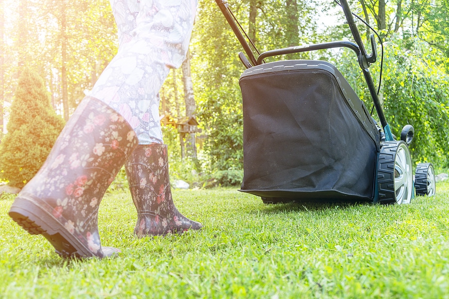 5 Tips for Spring Lawn Care