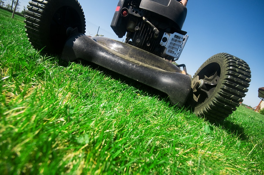 Frequently Requested Lawn Care Tips