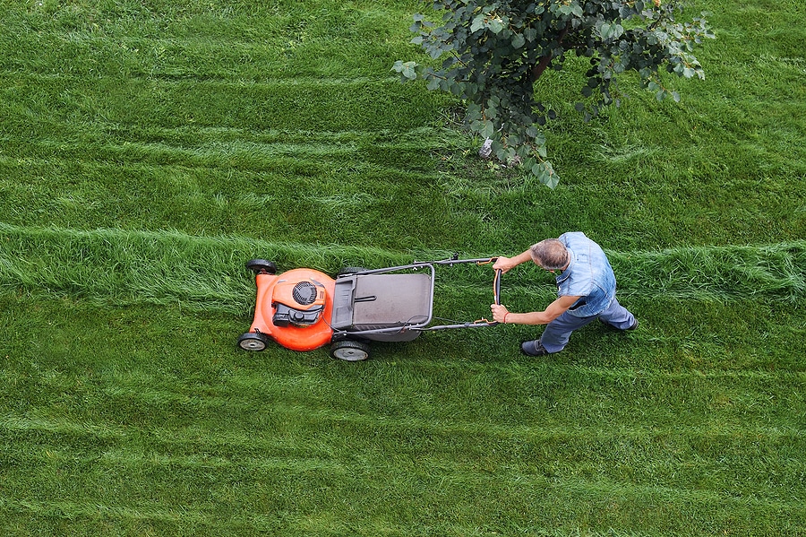 What is the Best Time to Mow Your Lawn?