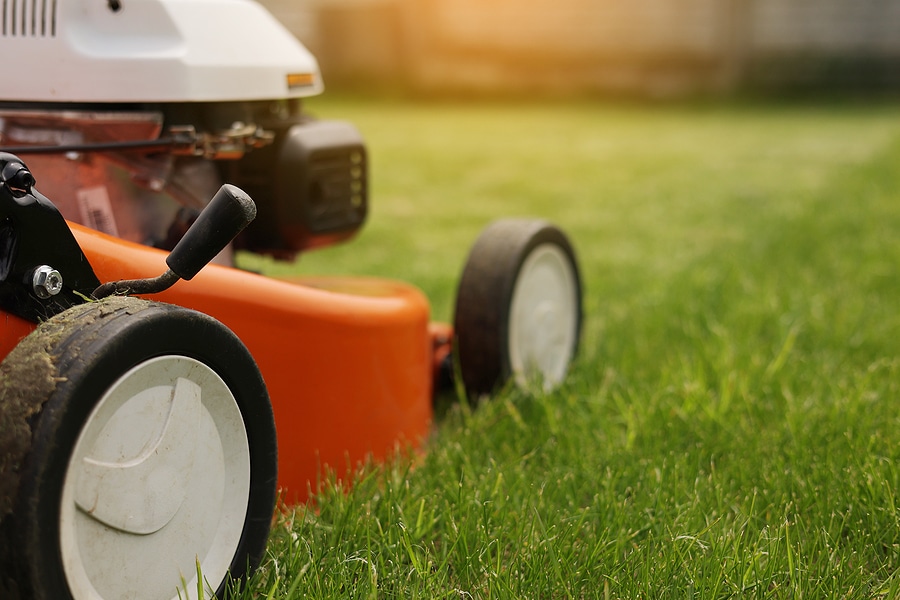 Top 5 Summertime Lawn Care Tips for North Carolina