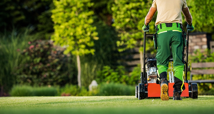 The Benefits of Fall Lawn Aeration