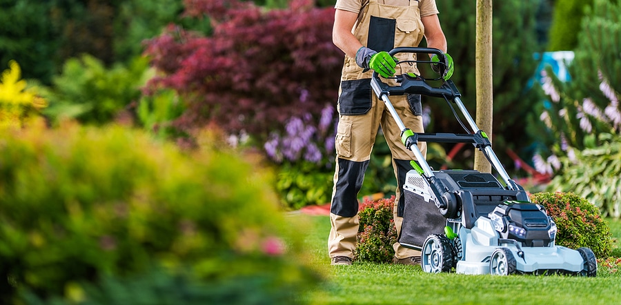 Why You Should Hire Professional Lawn Care This Spring