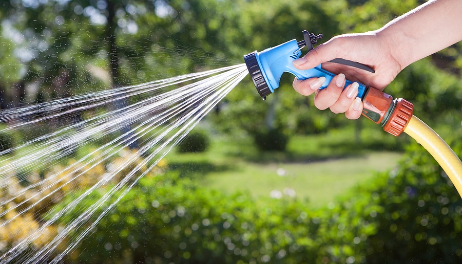 Protecting Your Lawn from Drought in North Carolina
