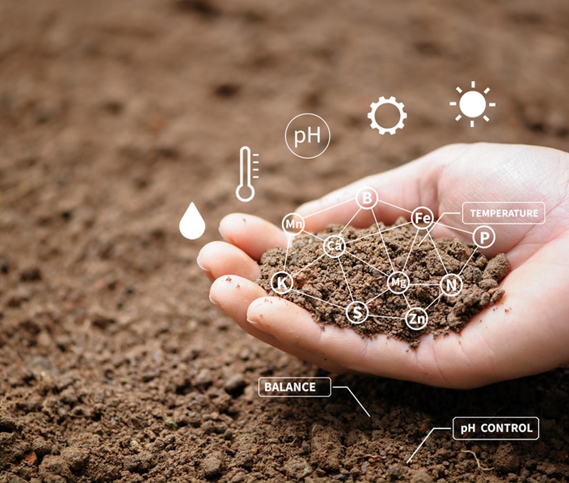 Contact Nature's Select for pythium blight control services in North Carolina.