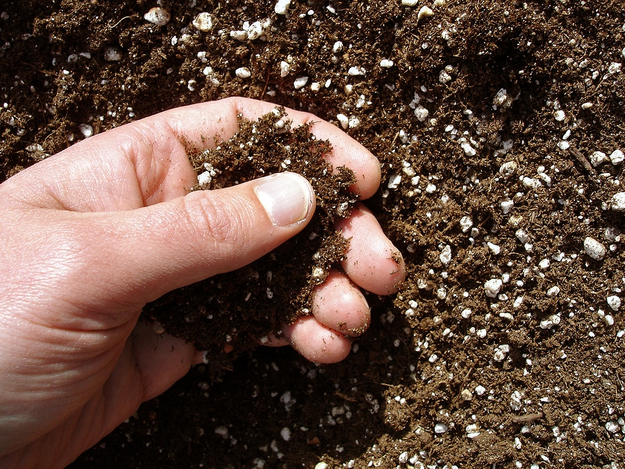 Work with Soil Specialists to Achieve Healthier, Thriving Soil