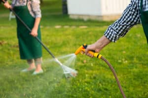 5 Steps to a Lush, Green Lawn