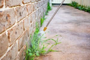 Your Guide to Weed Control