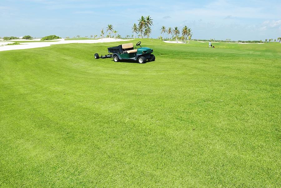 How to Grow a Lawn That Turns Heads