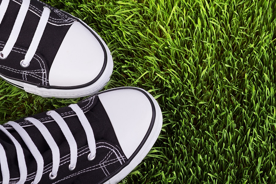 That Clumpy Grass in Your Yard? It’s Probably Bahiagrass