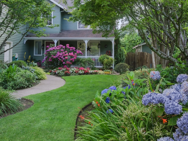 Nature's Select understands the proper treatments needed for tree and shrub care.