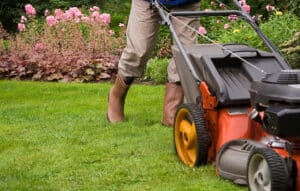 Hot Weather Lawn Care