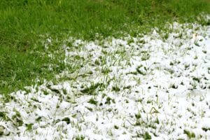 How to Keep Soil Microbes Active Through Winter