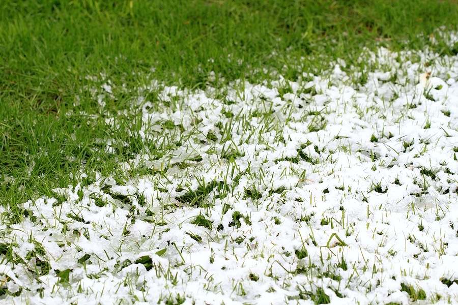 How to Keep Soil Microbes Active Through Winter