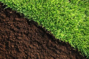 Why We Feed the Soil, Not Just the Grass