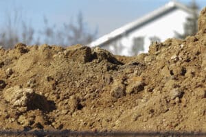 How to Grow a Healthy Lawn With Sandy Soil