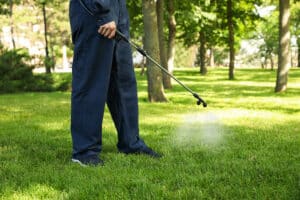 3 Tips for Choosing the Right Lawn Care