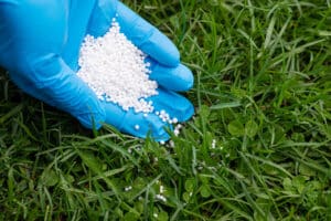 Feeding Your Lawn the Right Way in Spring