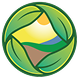 NS Icon