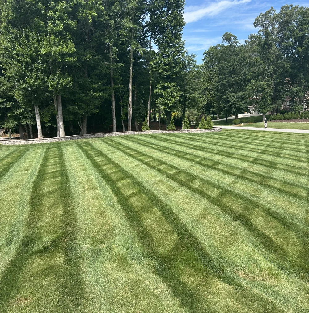 Natures Select Lawn Care