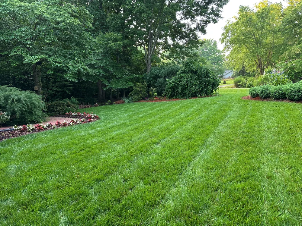 Natures Select Lawn Care
