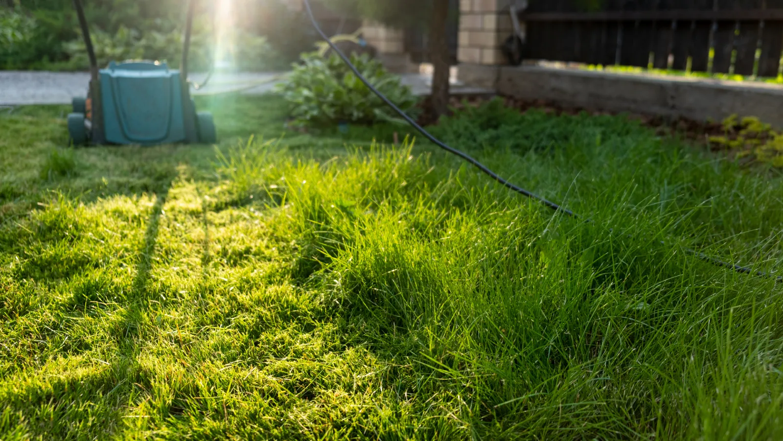 green-grass-and-lawn-mower-in-the-sunlight